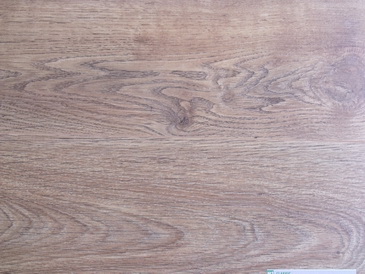 DSCF1167_Bildgre ndern