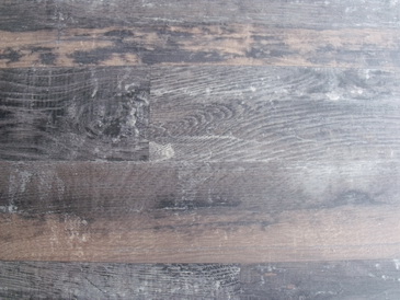 DSCF1169_Bildgre ndern