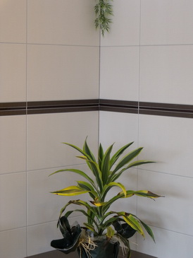 DSCF1236_Bildgre ndern